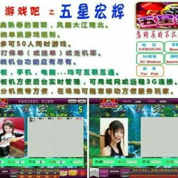 网络游戏城 互联网游戏生态的新维度与私服现象探析